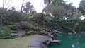 The Garden Lake