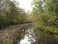North River at Gaston Road (County Route 45/7) near Forks of Cacapon