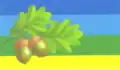 Flag of Hatne