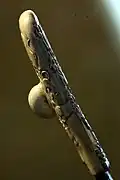 side of the handle