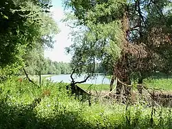 Landscape in Gemenc