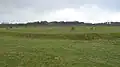 The Devil's Quoits ditch and stones after restoration, circa 2016
