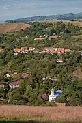 Gârnic