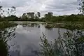 Glemsford Pits