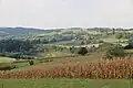 Golubac - panorama