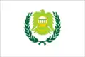 Old Flag of Asyut Governorate (?-2016)