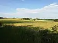 Grain field in Kapoly