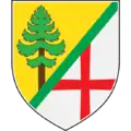 Coat of arms of Bor, Serbia