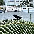 In the Dominican Republic