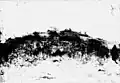 Dune near Green Mound in 1924