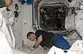 Greg Chamitoff uses LOCAD-PTS during Expedition 17 (June, 2008).