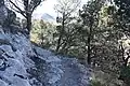 Hiking trail up the peak.