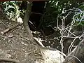 Guna Caves, Kodaikanal