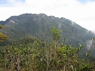 Mount Tahan, the highest mountain of Peninsular Malaysia.