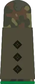 Hauptmann (Mechanized infantry)