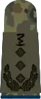 Oberst­apotheker