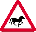 Horses ahead
