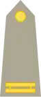 Teniente (Honduran Army)[37]