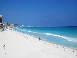 Dolphins Beach