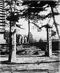 Kasatōba in the 1890s