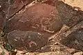 Petroglyphs from Mount Mihya in the Negev (Lipa Gal Lookout near Avdat) depicting horned animals, probably ibex