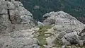 A Mountain goat near the top of Black Elk Peak