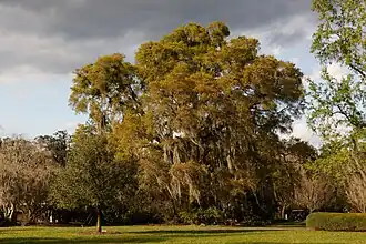 A part of the gardens.