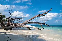 Lagoon, Havelock Island