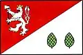 Flag of Havlíčkova Borová