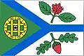 Flag of Heřmanov