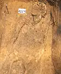 Grave from around 800