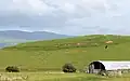 Hill fort, Ring Hill, North Balfern