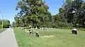 Section S
