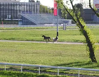Horse racing
