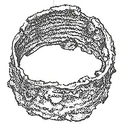 Iron wire bracelet