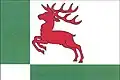 Flag of Hynčina