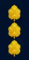 Israel (Aluf Mishne)