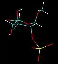 IdoA(2S)1C4 conformation