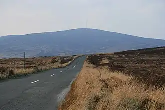From the Sally Gap