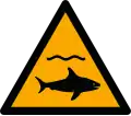 W054 — Shark
