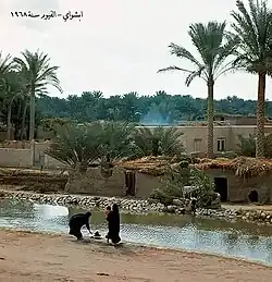 Ibsheway (1968).