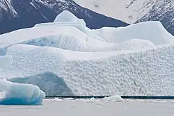Iceberg on Lake Argentino.