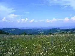 Kragujevac is centre of Šumadija region