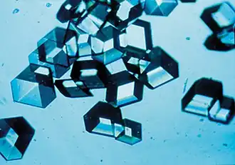 Image 18Synthetic insulin crystals synthesized using recombinant DNA technology (from History of biotechnology)