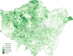 White-Irish