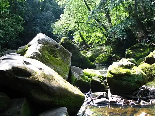 Prüm river