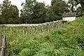 Jewish cemetery