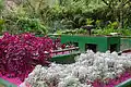 This sensory garden inside the Rio de Janeiro Botanical Garden, Brazil, is designed to sharpen the senses of touch and smell, and sometimes taste. Visitors with special needs, including the blind and visually impaired, are welcomed by a team of counselors (some of whom are themselves visually disabled). Blindfolded guided tours are also a feature.[16]