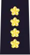 General