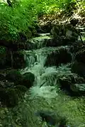The river Jablanica - detail